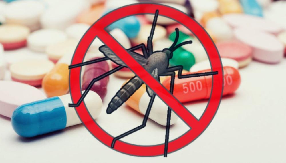 Малярия: о чём нужно помнить?